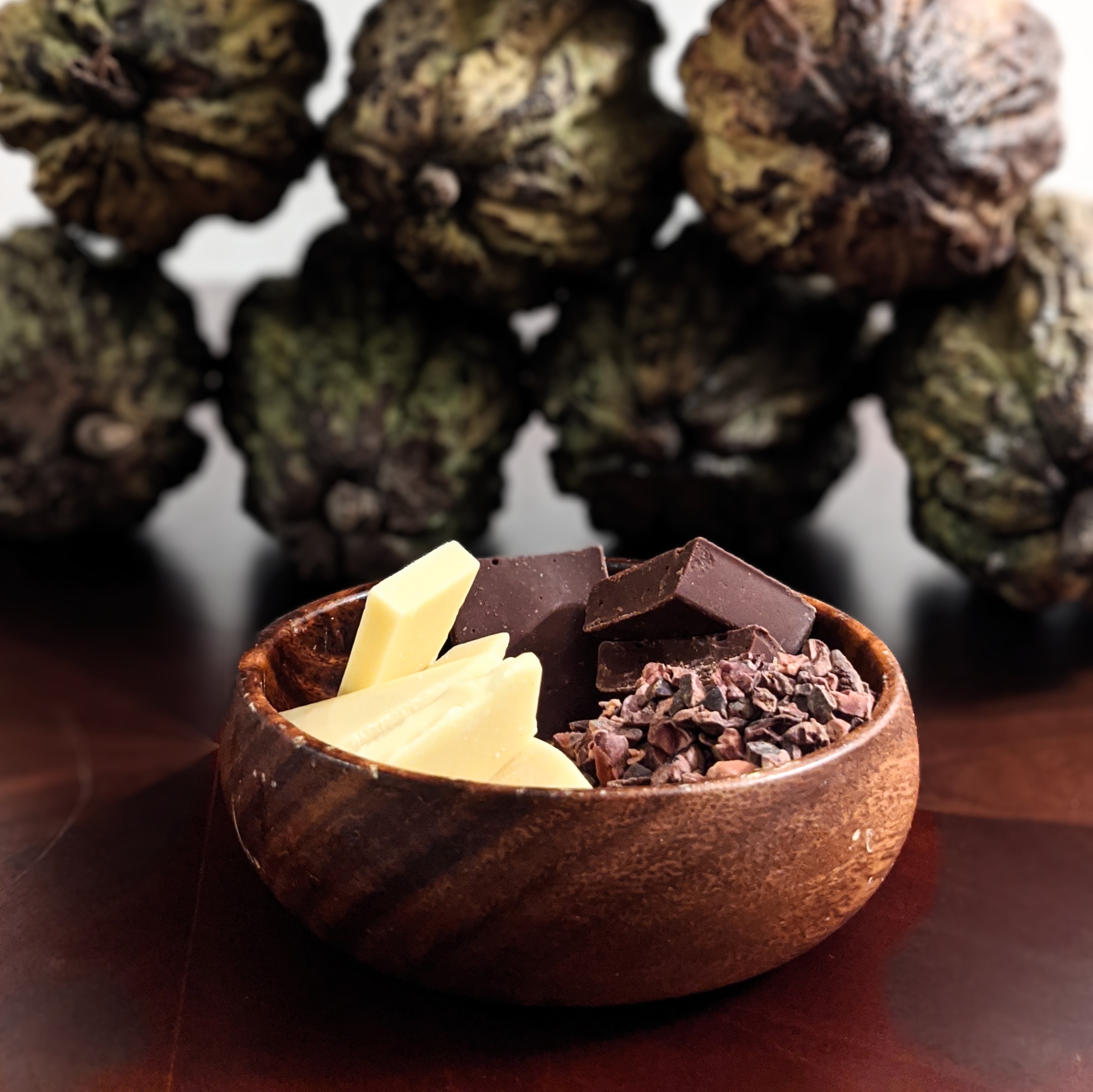 Cacao butter nibs and chocolate in front of cacao pods