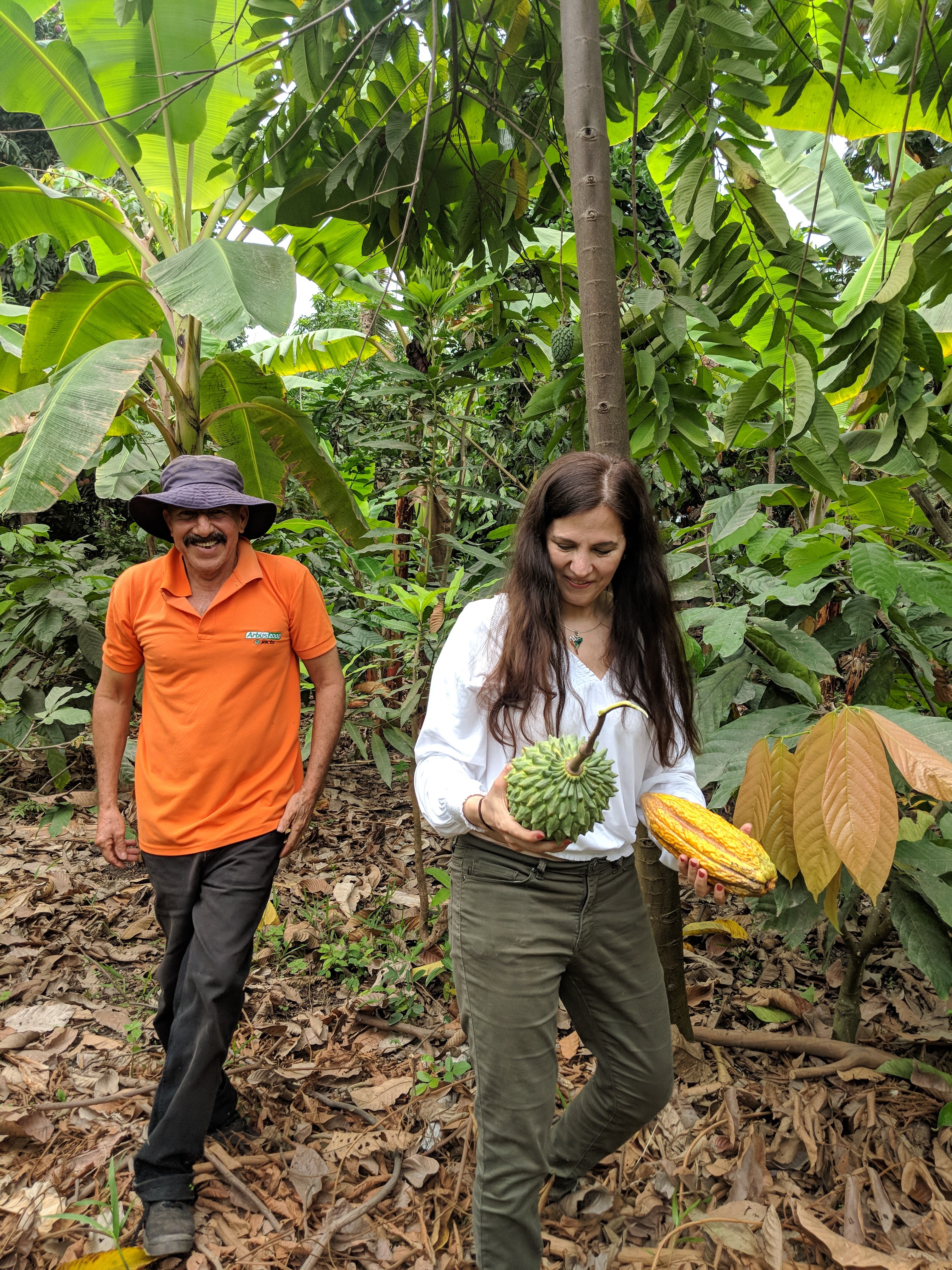 Farmer showing biodiverse crops with cocoa and guanabana