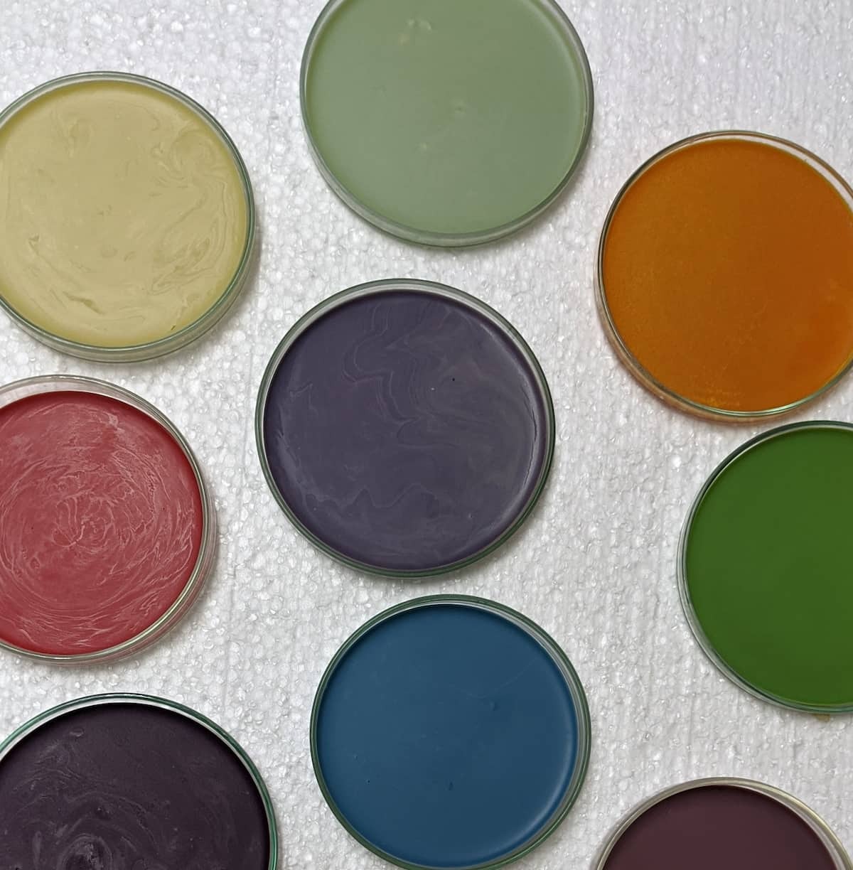 Colored cocoa butter in petri dishes